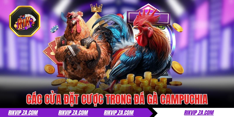 Đá Gà Campuchia - Thiên Đường Đích Thực Của Giới Sư Kê 3 Giải thích 3 cửa đặt cược trong đá gà Campuchia
